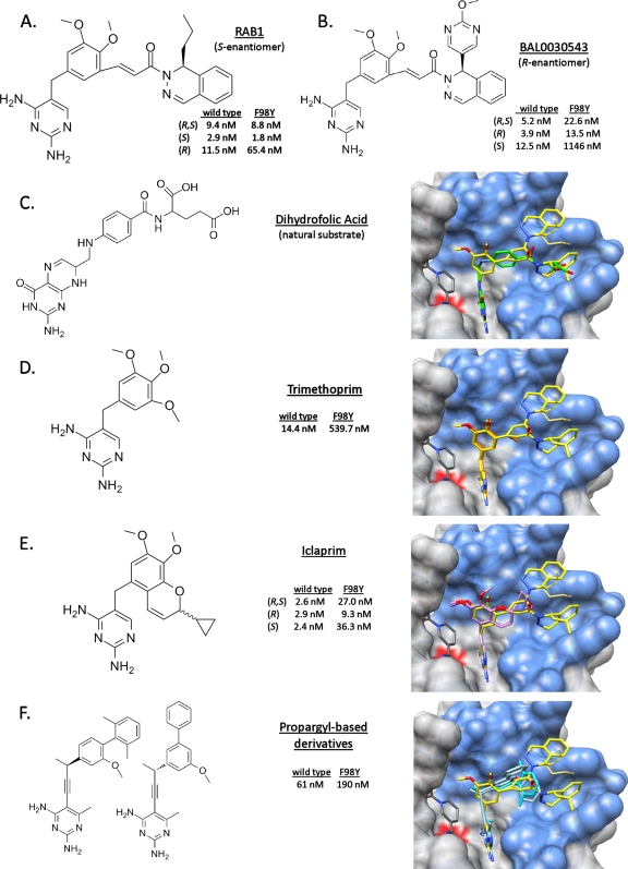 FIG. 2.