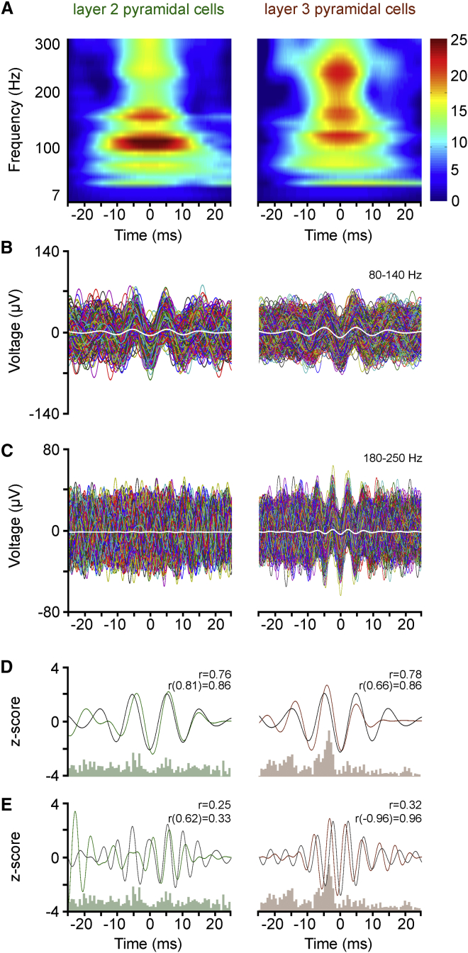 Figure 6