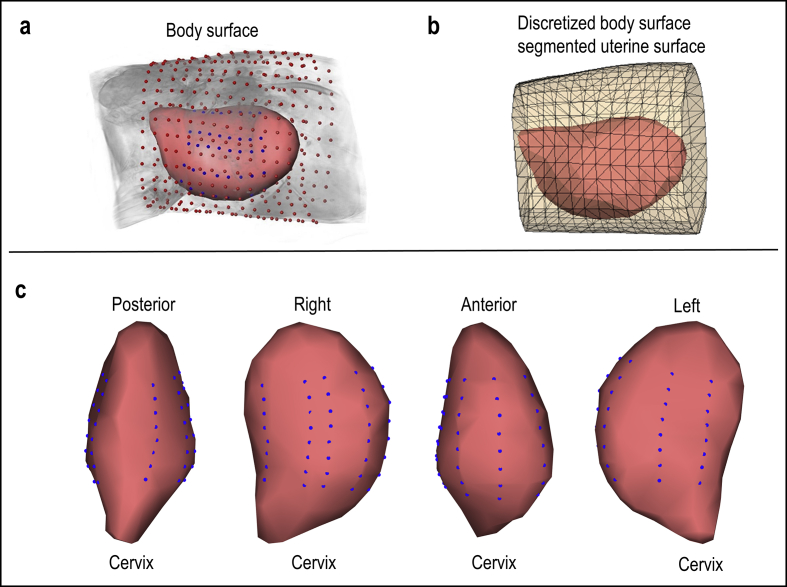 Fig. 1