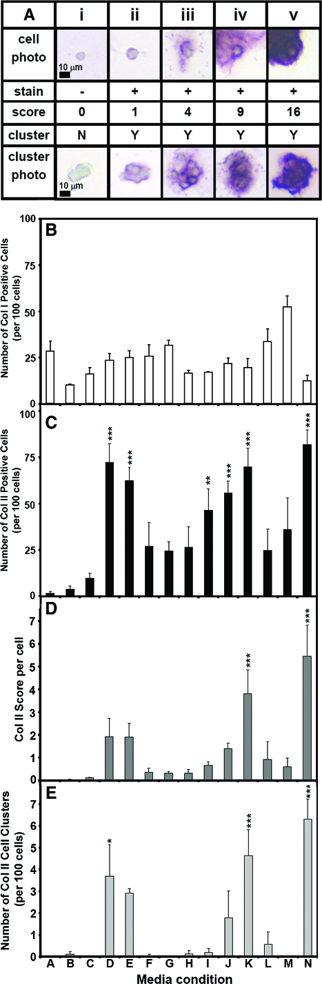 FIG. 8.