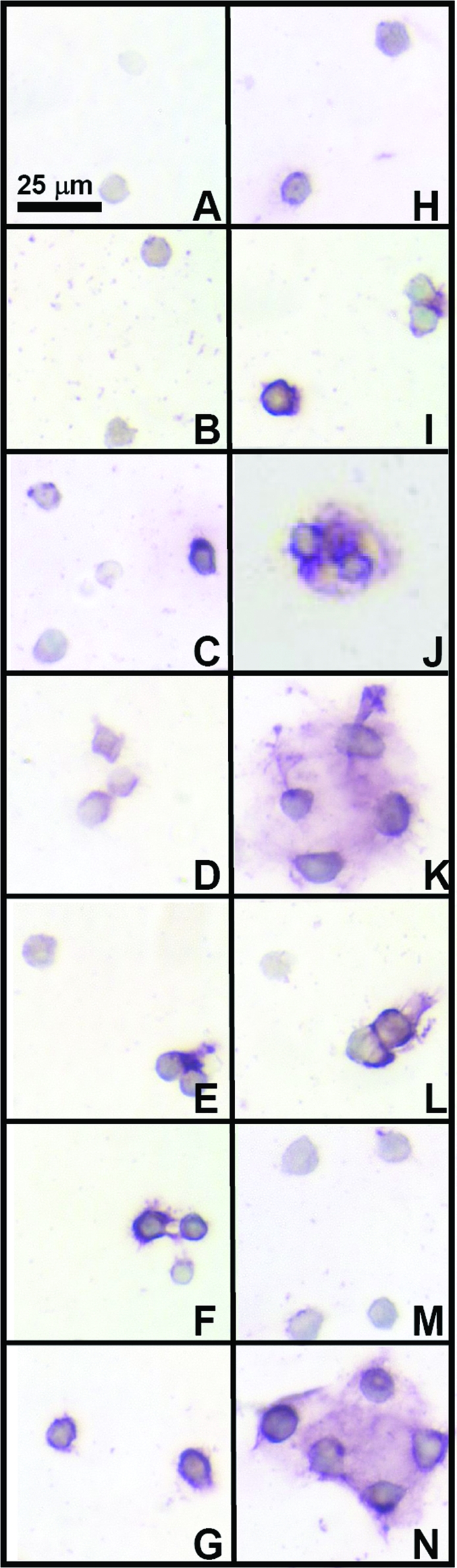 FIG. 7.