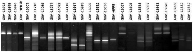 Figure 7