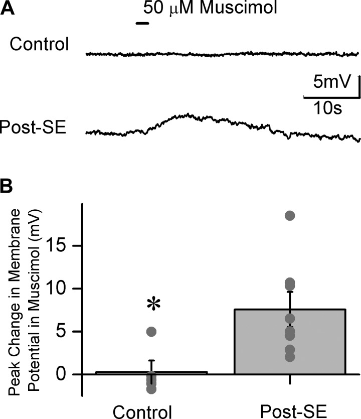 Fig. 8.