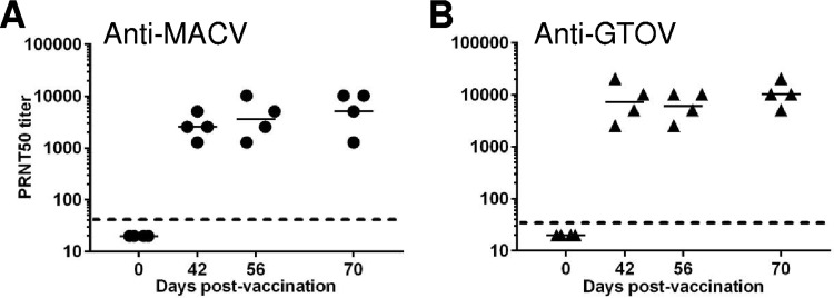 FIG 4