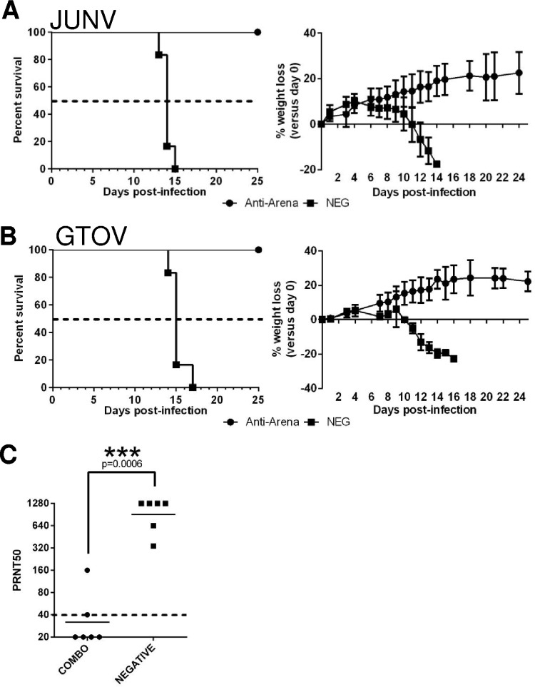 FIG 6