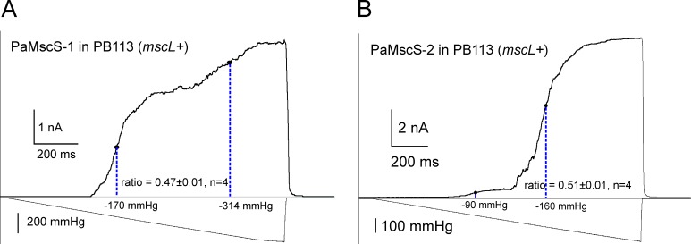 Figure 7.