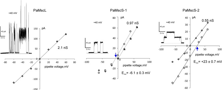 Figure 6.