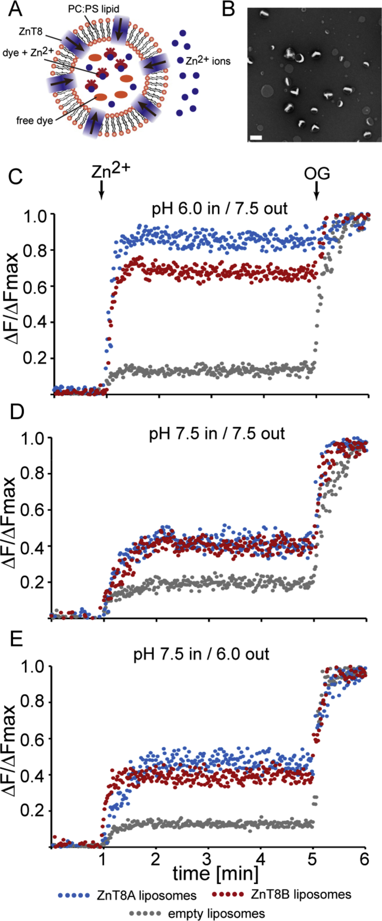 Fig. 3