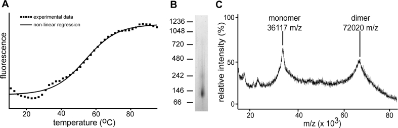 Fig. 4