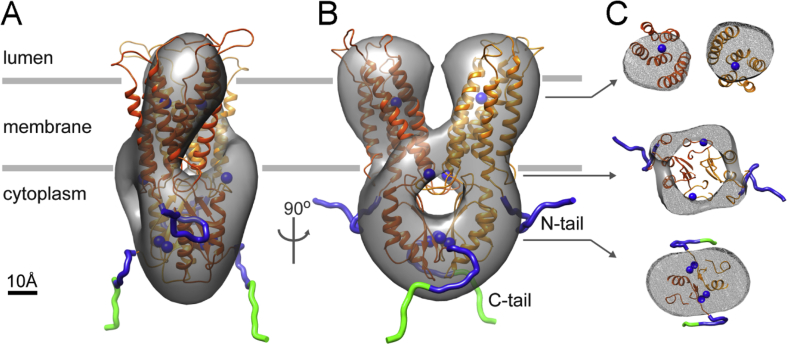 Fig. 7