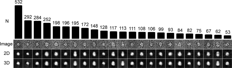 Fig. 6