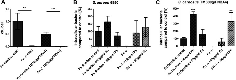 FIG 3