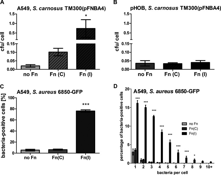 FIG 4