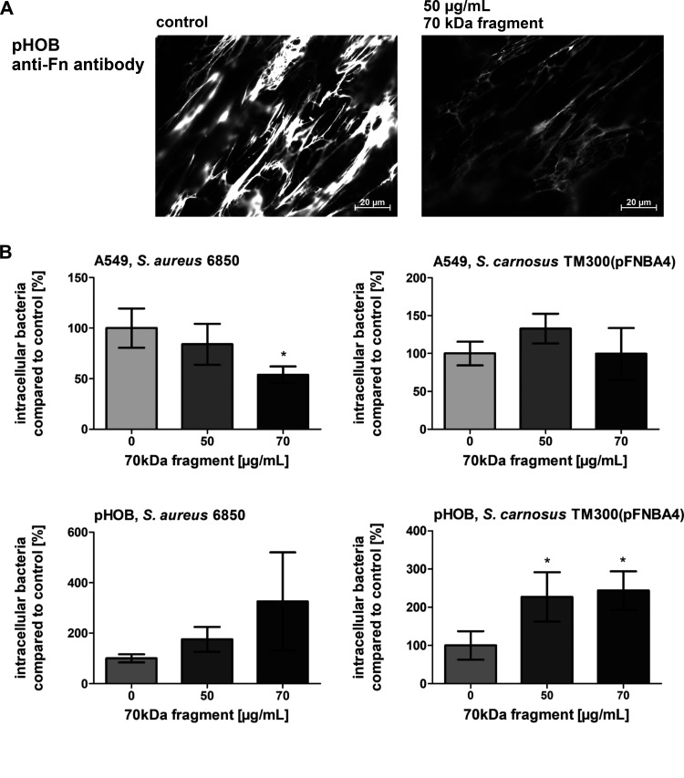 FIG 6