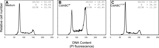 FIGURE 7.