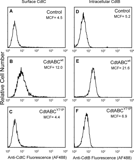 FIGURE 6.