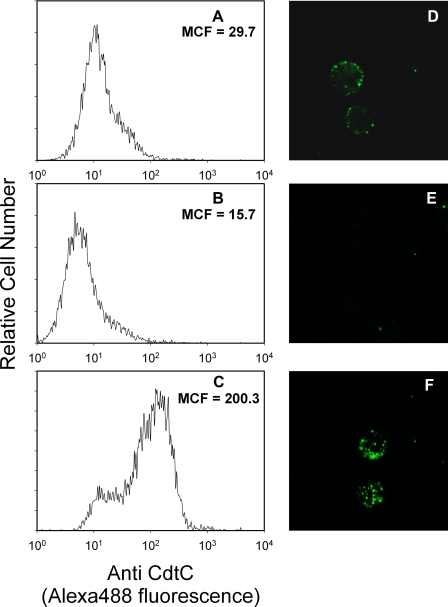 FIGURE 1.