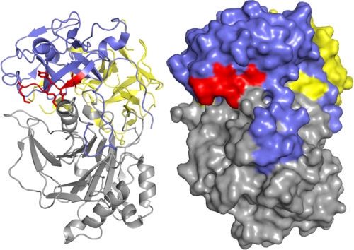 FIGURE 4.