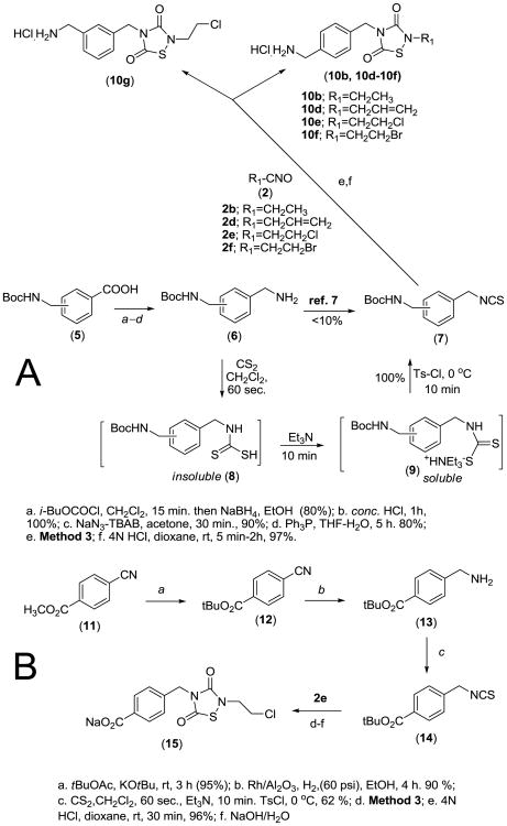 Scheme 2