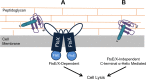FIG 6