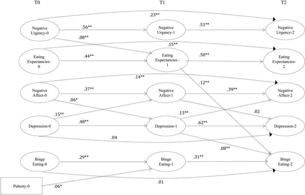 FIGURE 2