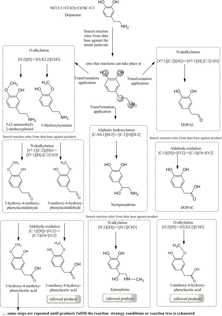 Fig. 19