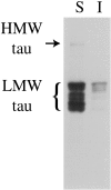 Fig. 9.