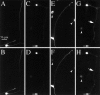 Fig. 10.