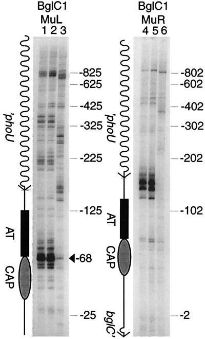 FIG. 7