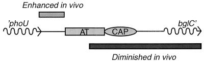 FIG. 8