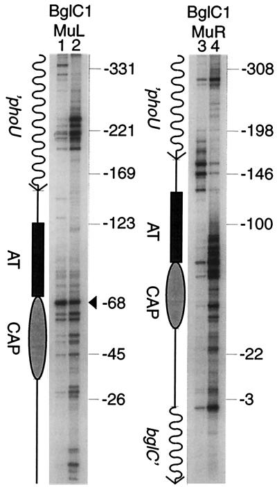 FIG. 6