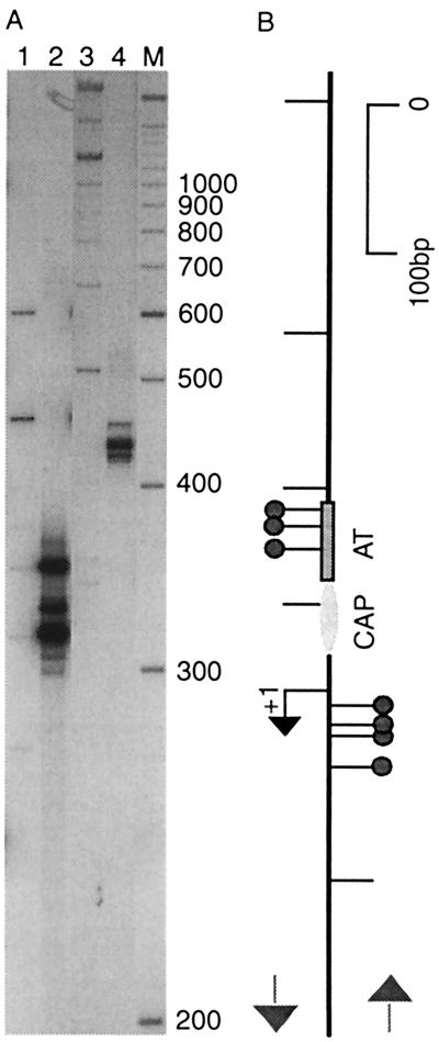 FIG. 3