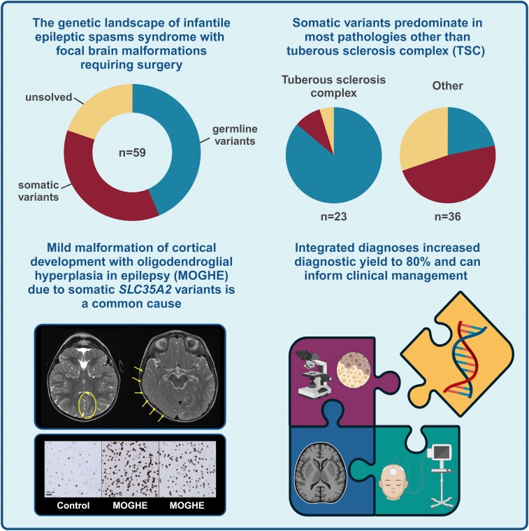 graphical abstract