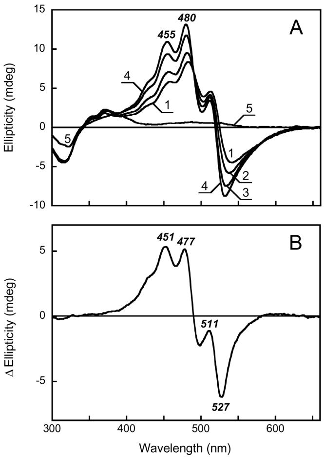 Figure 5