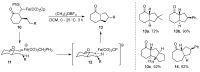 Scheme 5