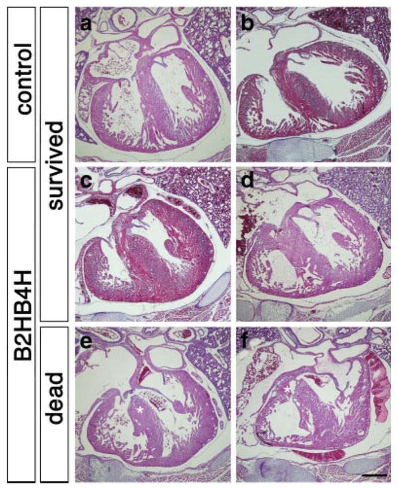 FIG. 5