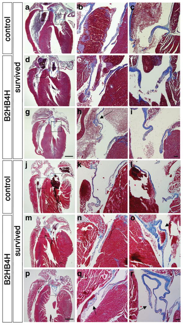 FIG. 6