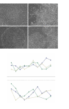 Figure 2.