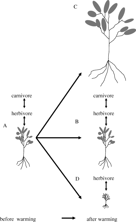 Figure 1.