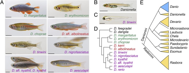 Figure 3.