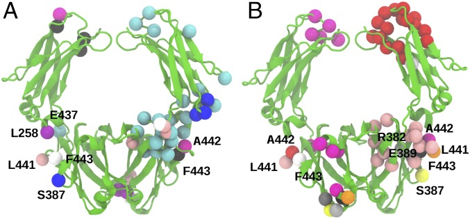 Fig. 8.