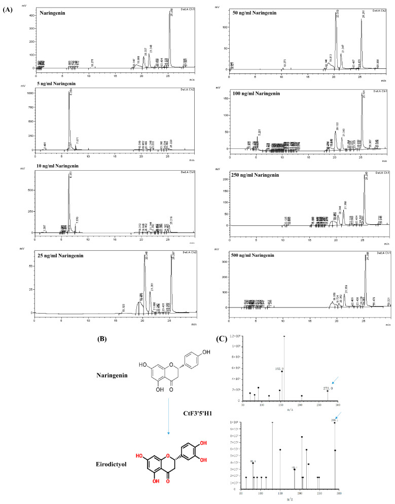 Figure 9