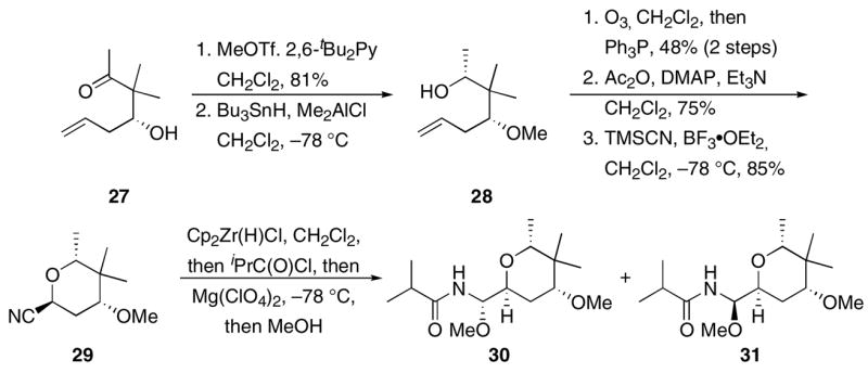 Scheme 4