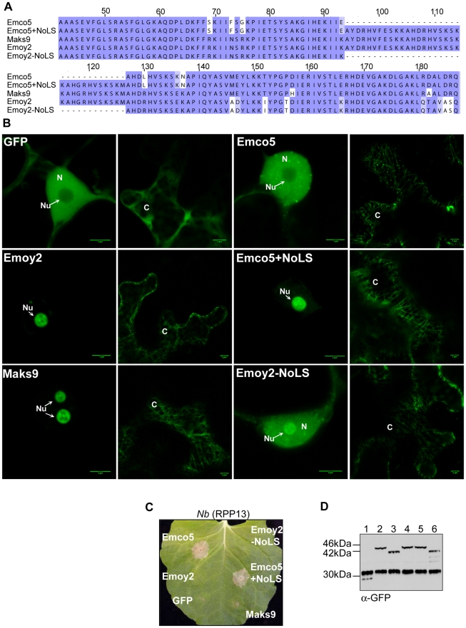 Figure 5