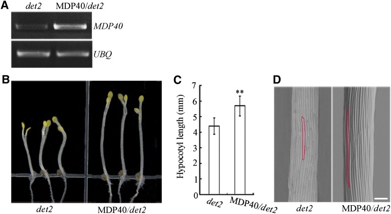 Figure 6.