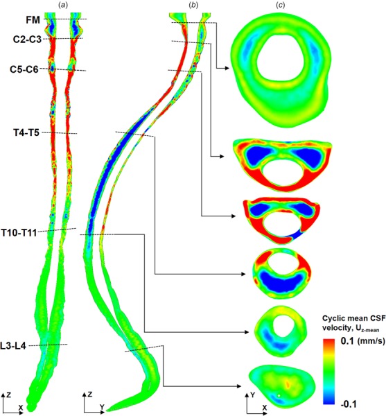 Fig. 8