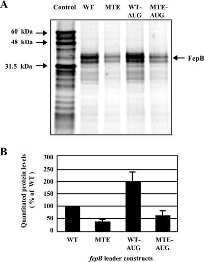 FIG. 5.