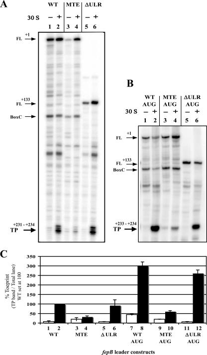 FIG. 6.