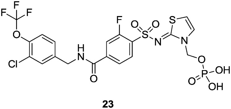 Fig. 5