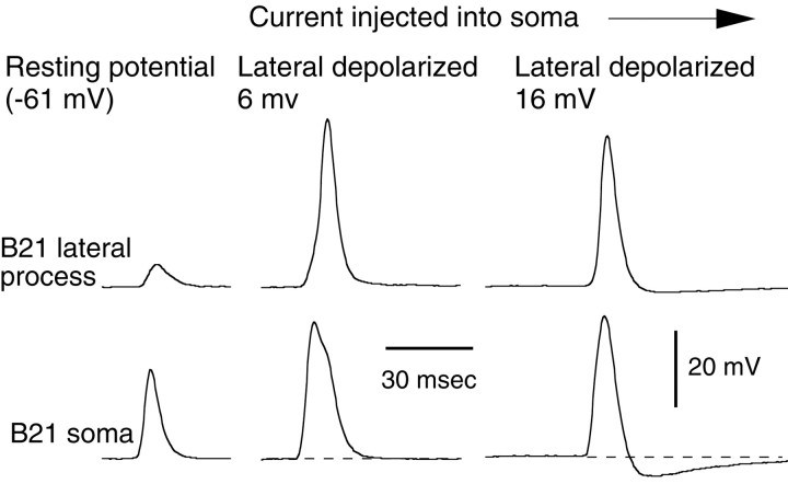 Fig. 6.